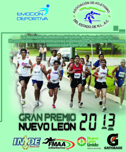 imagen gran premio 2013-01.jpg