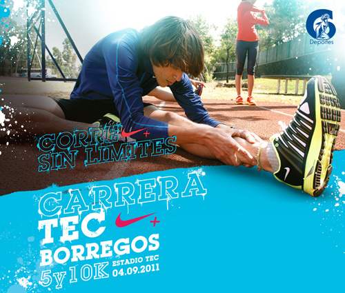 tecborregos2011.jpg